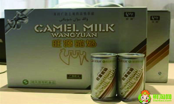 骆驼奶比牛奶好吗,骆驼奶粉和牛奶粉有什么区别
