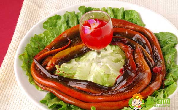 黄鳝是什么变成的,黄鳝5两到9两的价格