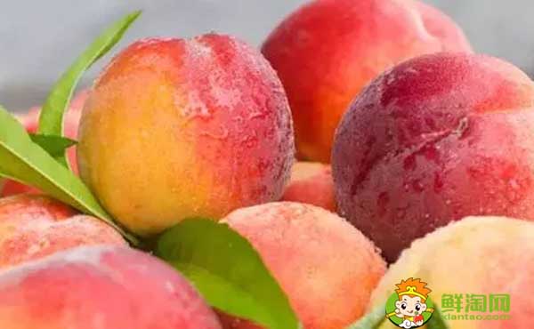 西瓜和桃子能一起吃吗,桃子一天吃几个最好