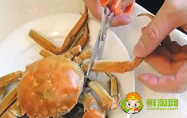螃蟹哪里不能吃高清图,螃蟹的吃法剥法图解