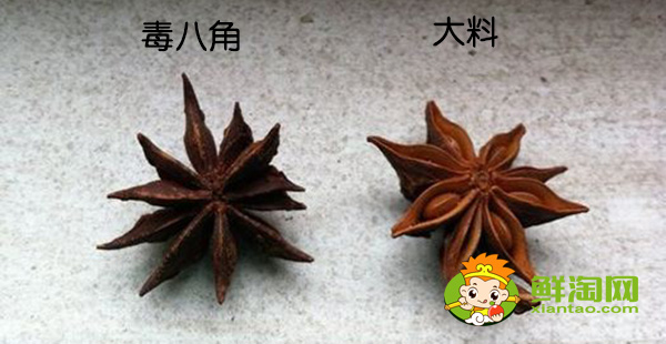 和八角味道一样的香料是什么,毒八角和大料的区别
