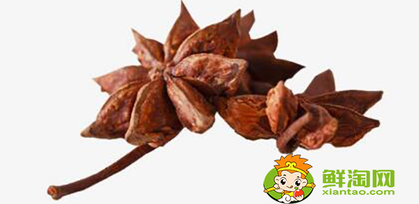 大料和八角是一个东西吗,大料和八角的区别图片