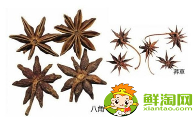 假八角中毒了怎么办,吃了莽草怎么解毒