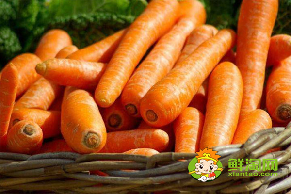 天天吃胡萝卜对身体有坏处吗,长期不吃胡萝卜的危害