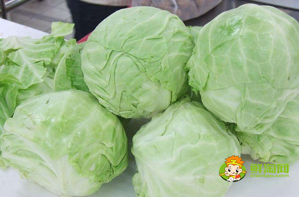 包菜怎么保存两个月,包菜放冰箱两个月还能吃吗
