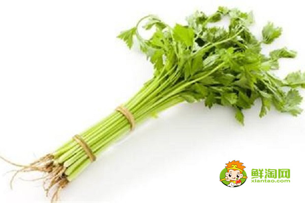 芹菜是什么季节的蔬菜,水芹是什么季节的菜