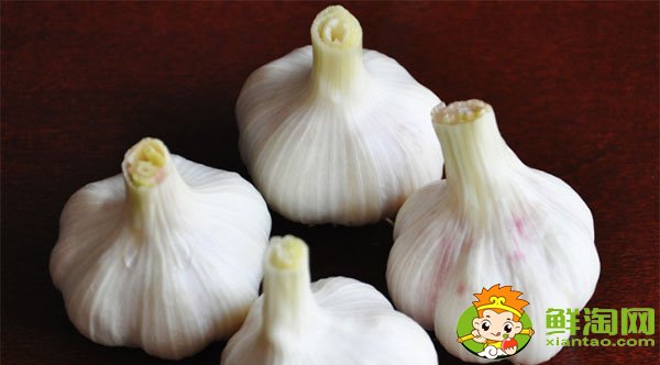 大蒜和冰糖煮水真的治咳嗽吗,大蒜的功效与作用