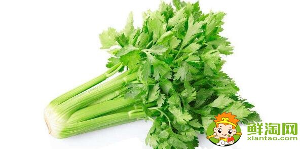 洗过的芹菜怎么保存,洗好的芹菜能放多久