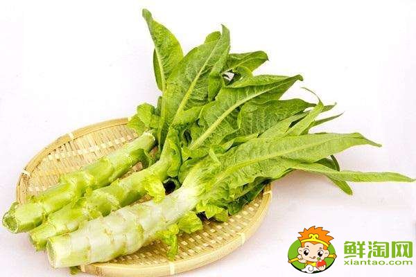 莴苣是莴笋吗,莴笋莴苣为啥有股膻味