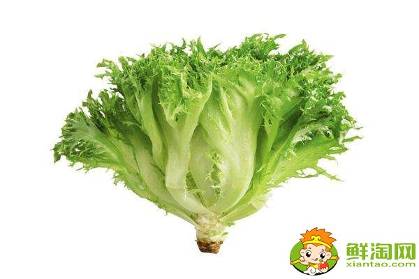 为什么吃莴苣不吃叶子,吃莴苣叶子的禁忌