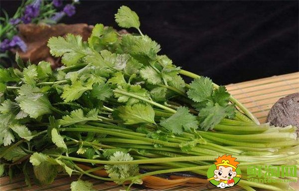 香菜吃多了有什么坏处，香菜的功效与作用