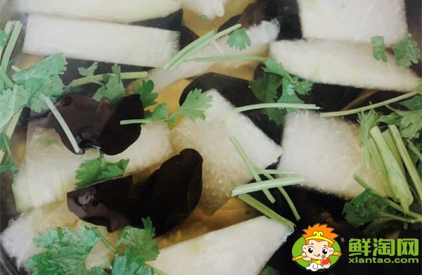 香菜怎么保存新鲜不烂，冬瓜木耳香菜汤可以减肥吗
