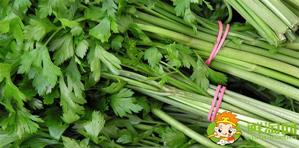 山东芹菜的主要产地在哪,芹菜基地哪里最便宜