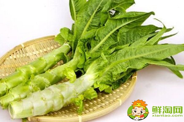 莴苣是笋子吗,莴苣是生菜吗