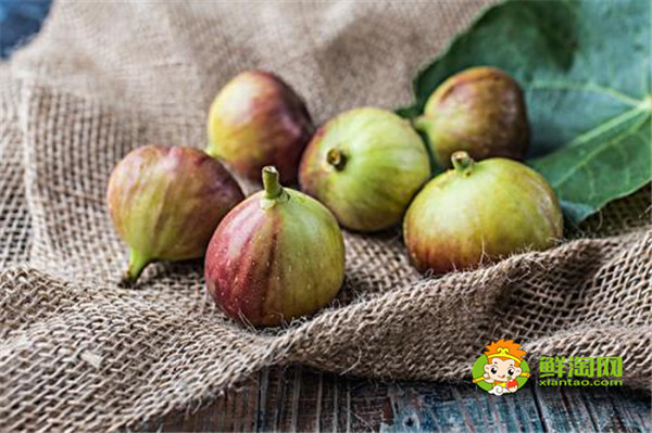 无花果在哪里生长,无花果生长与热带和温带地区