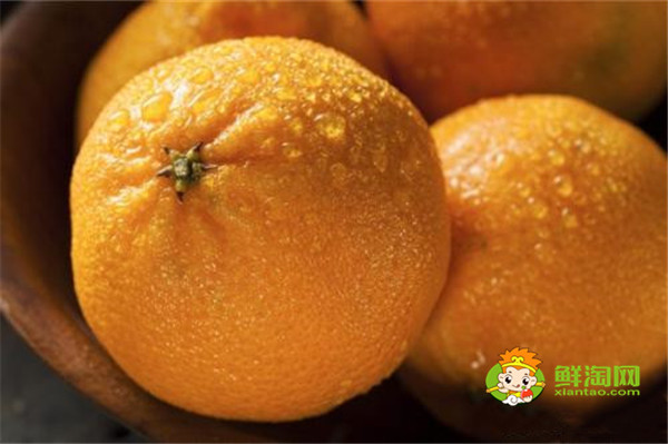 沃柑和芦柑哪个好吃,芦柑吃了会不会上火