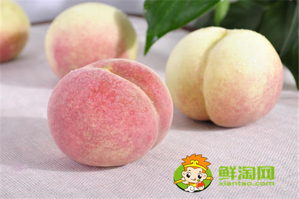 冬桃好吃吗,冬桃的种植前景如何