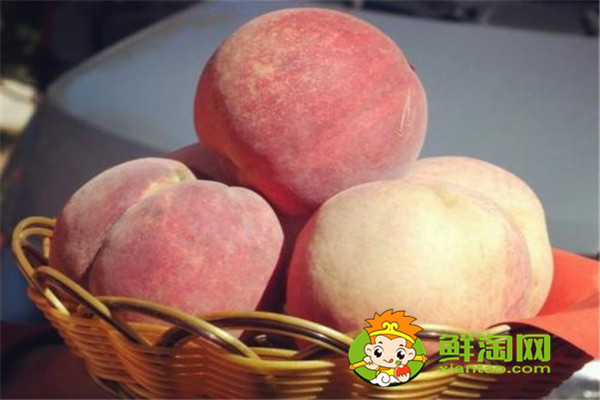 冬桃好吃吗,冬桃的种植前景如何