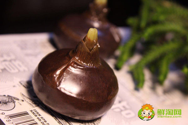 如何煮荸荠,荸荠和什么不能一起吃