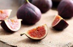 无花果的功效与作用,5种人不能吃无花果