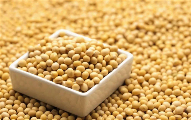 降脂最快的十种食物,脂肪最怕的十种蔬菜