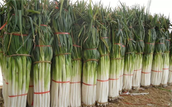 山东三大特产是什么,山东特产小吃可携带的