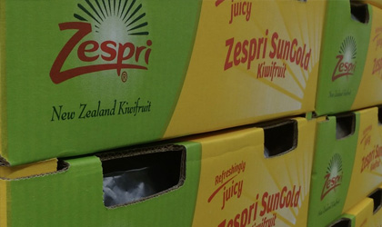 佳沛奇异果:新西兰季即将收官  大中华区销量增长40%